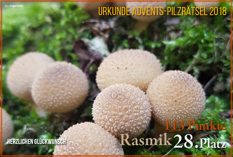 251165-2018-28-rasmik-jpg