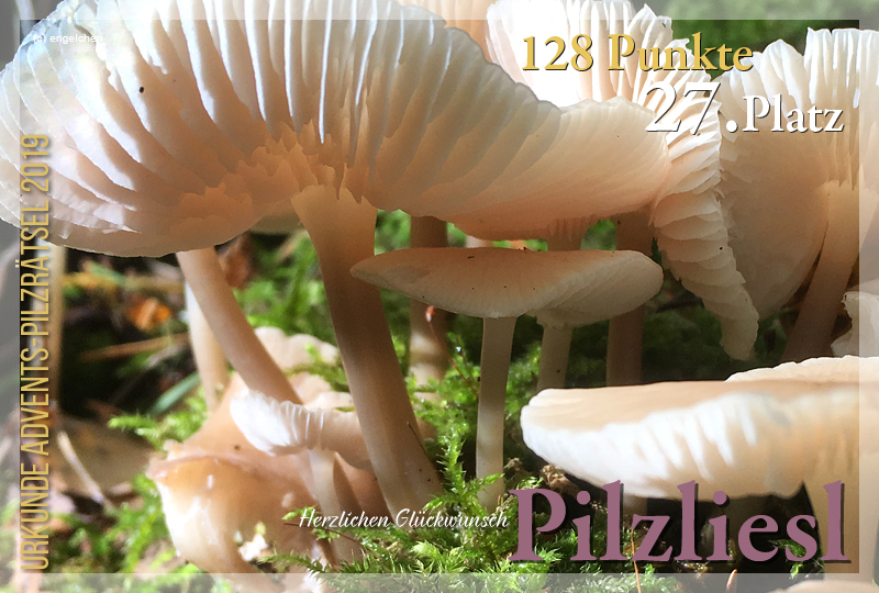 300429-27-128-pilzliesl-jpg