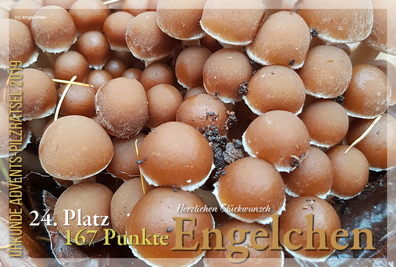 300524-24-167-engelchen-jpg