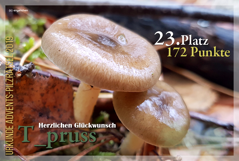 300716-23-172-tpruss-jpg