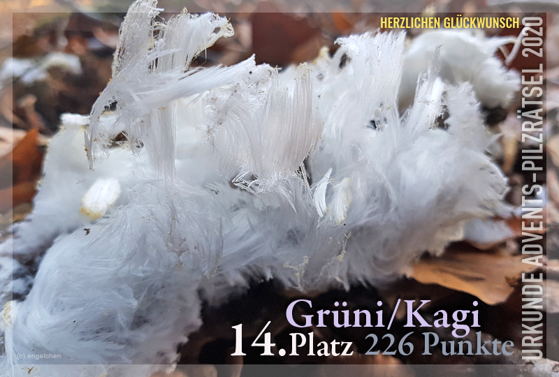 360290-14-226-grueni-jpg