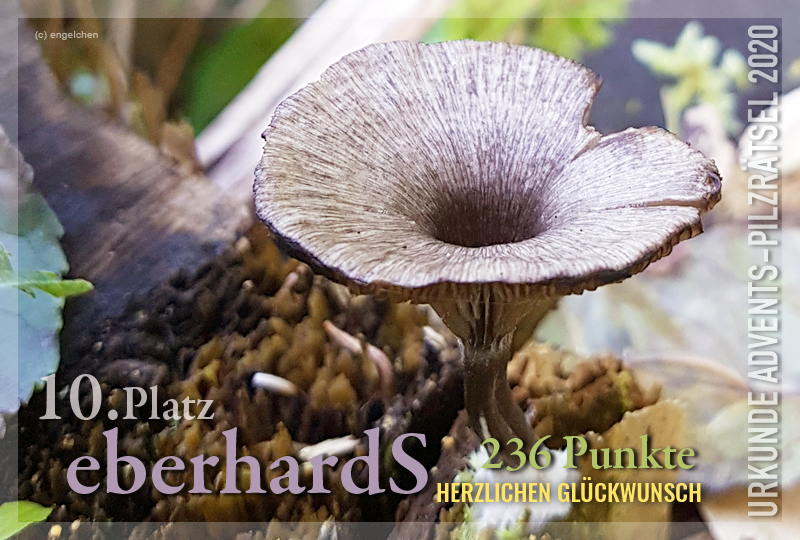 360333-10-236-eberhardts-jpg