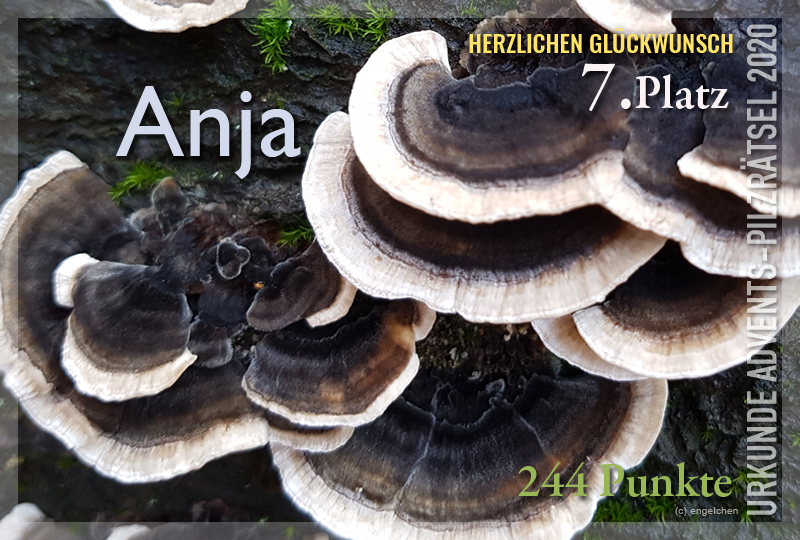 360505-07-244-anja-jpg
