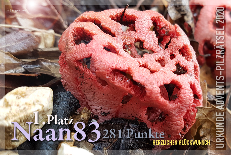 360870-01-281-naan-jpg