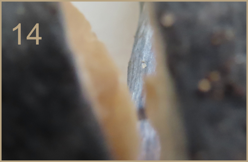 461740-14-r%C3%A4tselfoto-jpg