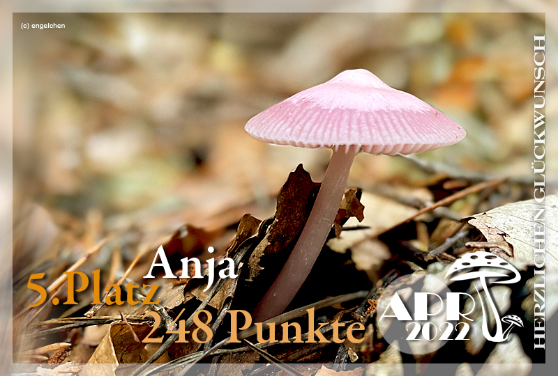 464321-5-anja-jpg