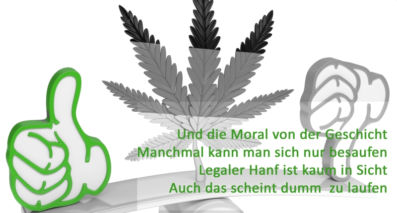 472840-cannabisfreigabe-kopie-jpg