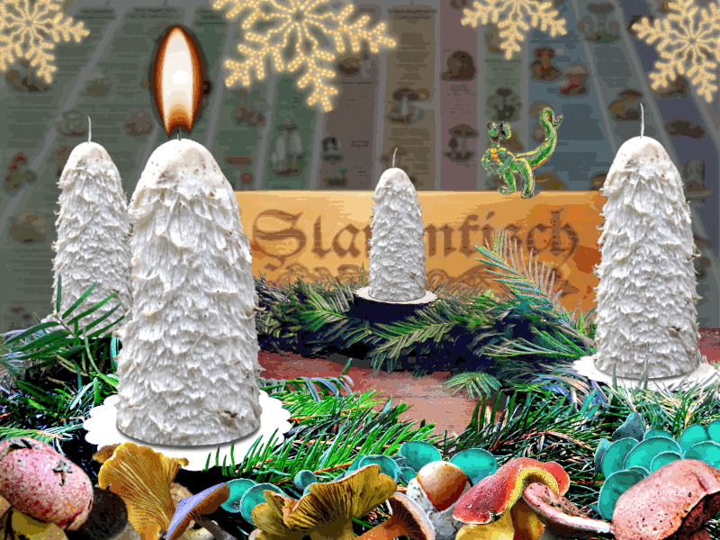 502813-1rsteradvent2022-120ms-gif