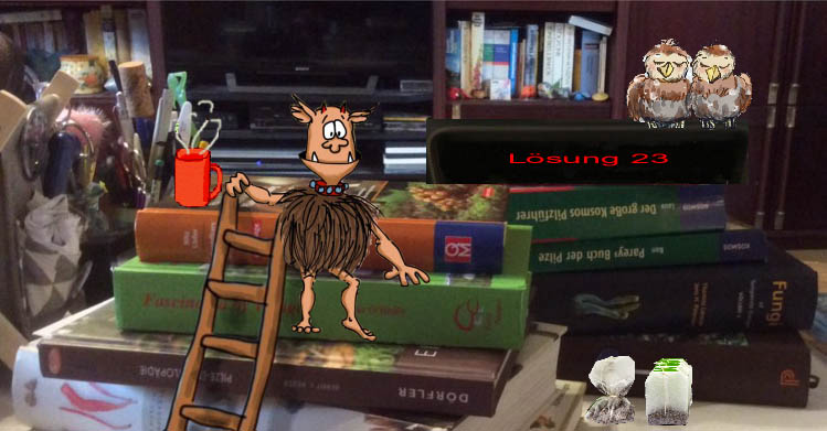 580725-gnolm-waldbank-b%C3%BCcherstapel-2-jpg