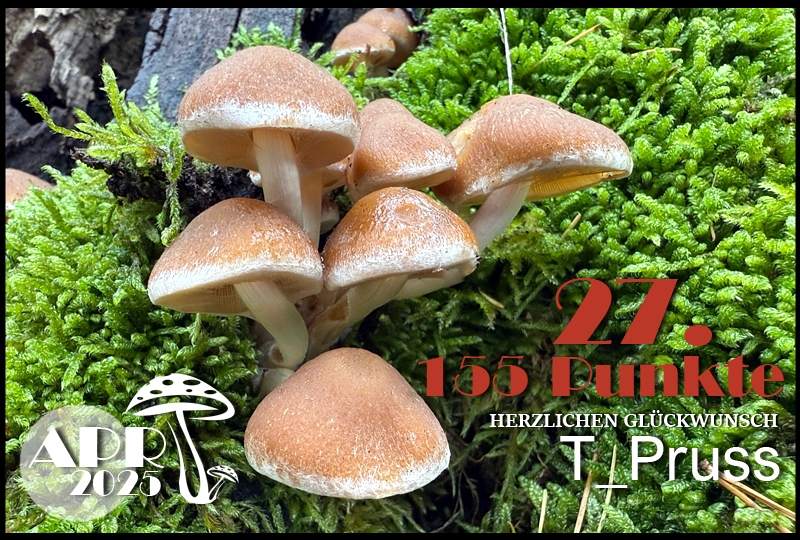 581238-27-t-pruss-002-jpg