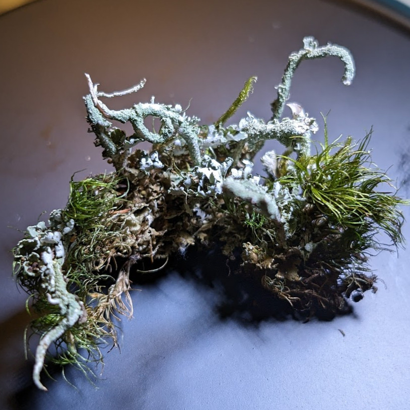 bafkreihw2zdjrzm2l5v6djsxiksldilpgg6hrmgpz2s3ir7fe3isdwyraq@jpeg