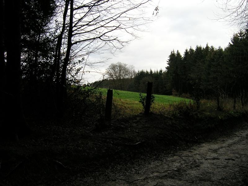 9221058gaz.jpg