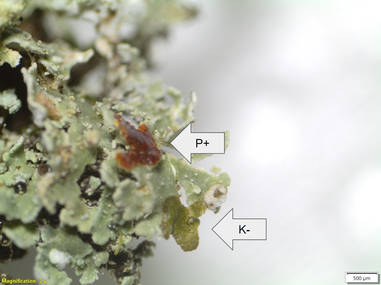 bafkreibwvmr5shmilm7hn7p5mfjezkzpdwxc75rx576yuryreqw3ywpeby@jpeg