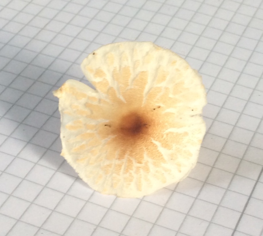 30115346bg.jpg