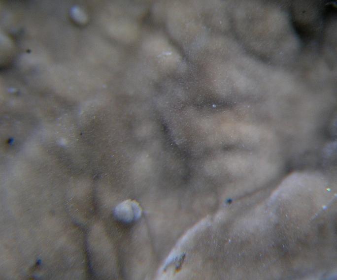 9361220ahr.jpg