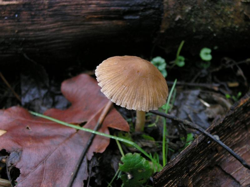 9220829rln.jpg