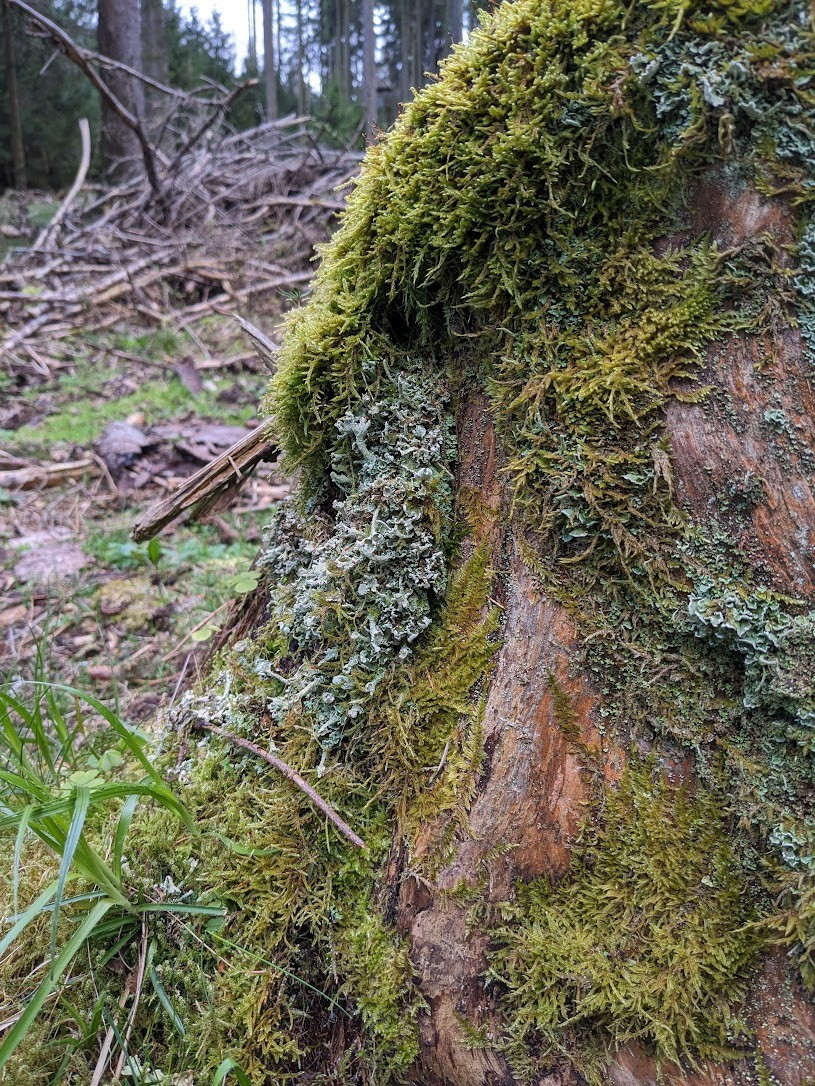 bafkreifm5qr3evy6uc46uddhi64jh3eyumqzbzo2ioebfvfxhcvknr2p2u@jpeg