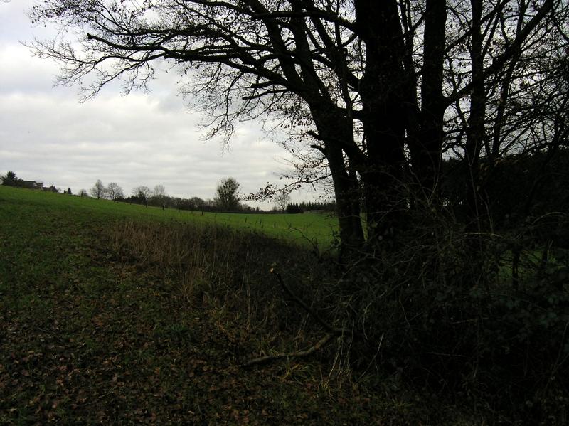 9221061ich.jpg