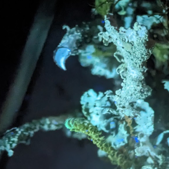 bafkreidqwvkmx6izryl6buczmcwkqaf7hechcynxejwbzmasp2blatotme@jpeg